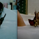 Image for article titled New Nightmare On Elm St. Might Actually Live Up To The Original